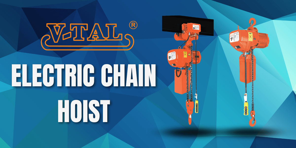 Electric Chain Hoist Side View